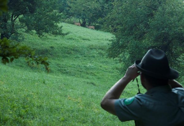 Jagd-Wochenende Jagd-Wochenende Jagd-Wochenende Jagd-Wochenende Jagd-Wochenende