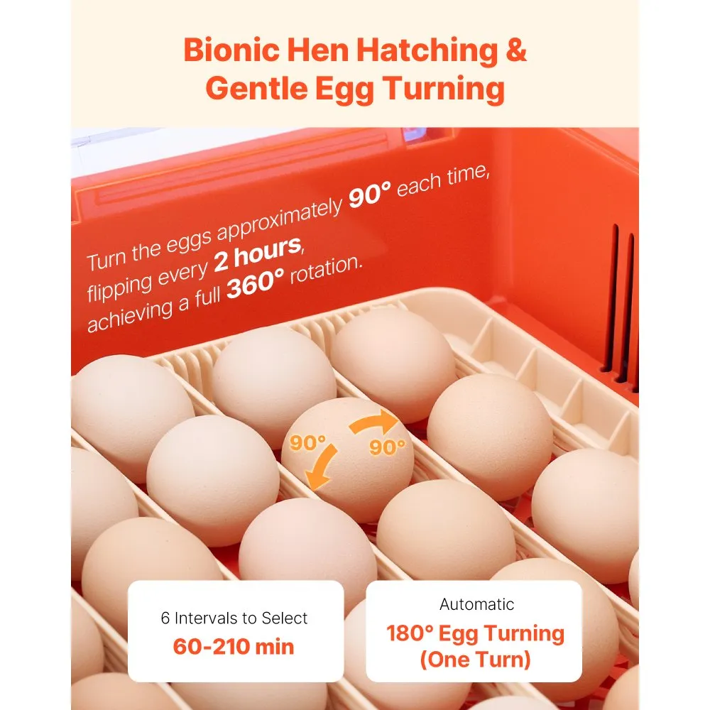 de_JQFHQEKZX36DVQS9A001V2_goods_img_big-v2_egg-incubator-f3